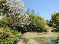 -韩湘水博园