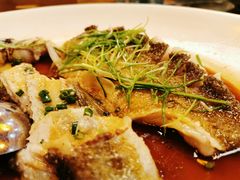 -故乡缘·香格里拉山庄(冷竹路店)