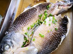 油盐蔬瘦身鱼-堤边美食
