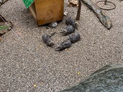-昆明动物园