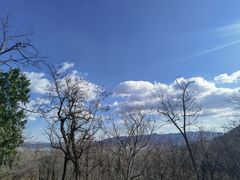 -阳台山自然风景区