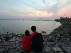 -合肥滨湖国家森林公园