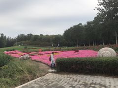 -门城湖公园