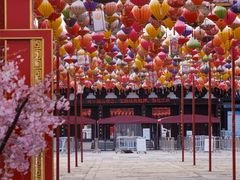 -祥源·阜阳生态乐园