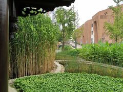 -活水公园