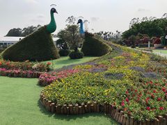 -光明小镇欢乐田园