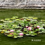 “中国第一豪宅”恭王府