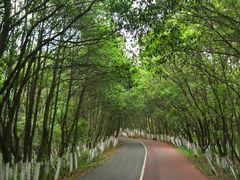 -艾溪湖湿地公园