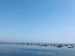 -旅顺博物馆