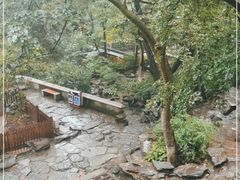 -大觉寺-停车场