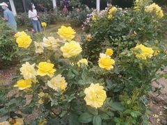 -人民公园(罗湖区)