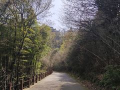 -穹窿山景区