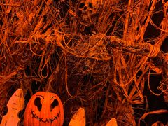 -奥兰多环球影城