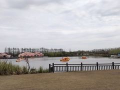 -上海长兴岛郊野公园