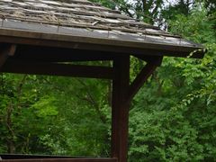 -盘龙城国家考古遗址公园