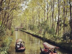 -合肥滨湖国家森林公园