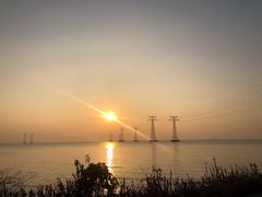 -宝安西湾红树林湿地公园