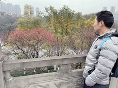 -重庆彩云湖湿地公园