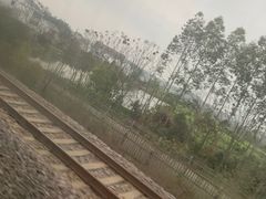 -衡阳东站