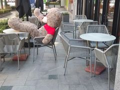 -Wagas沃歌斯(大学路店)