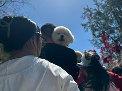 -娲皇宫