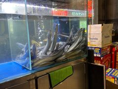 -本炙炭烤·蒲烧活鳗料理店(金沙洲店)