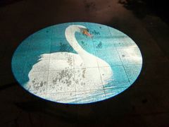 -天鹅湖体育公园
