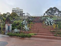 -墨尔本皇家植物园