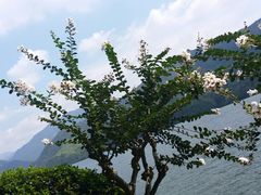 -严子陵钓台(富春江小三峡)