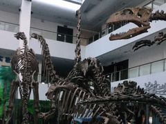 -中国地质大学逸夫博物馆