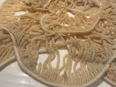 -蜀九香火锅(园艺山店)