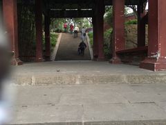 -富乐山