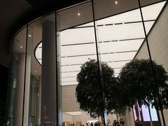 -Apple零售店(济南恒隆广场店)