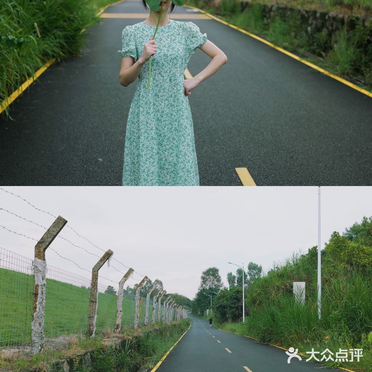 马峦北路.深圳又一条小众的日系片公路！