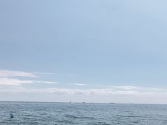 -金梦海湾浴场