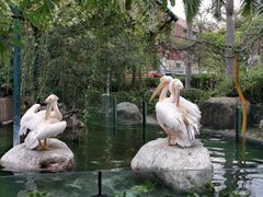 -灵玲国际马戏城