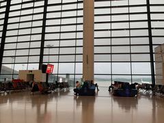 -郑州新郑国际机场-T2航站楼