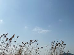 -上海市保健医疗中心