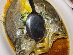 黄鱼-江南赋(内蒙古大厦店)