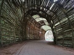 -北海金海湾红树林生态旅游区