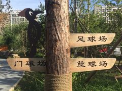 -回龙观体育文化公园