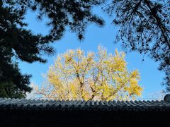 -潭柘寺景区