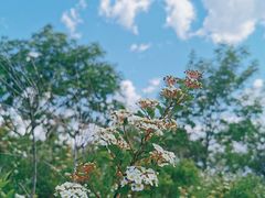 -阳台山自然风景区