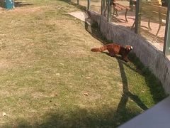 -泉州海丝野生动物世界