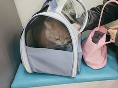 -天宠宠物医院24小时·急重症诊疗中心·全科·腔镜特色(和平分院)