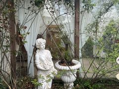 -Jo's Garden
