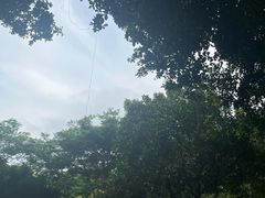 -火炉山森林公园