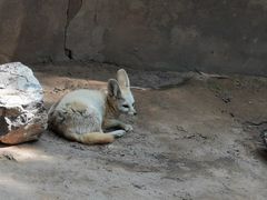 -云南野生动物园