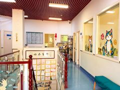 -瑞派蒂凯宠物医院·免疫点·宠保定点