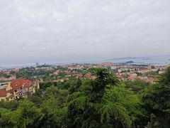 景点-信号山公园